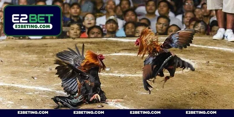 Cơ hội nhận về khoản thưởng hấp dẫn từ chiến thắng