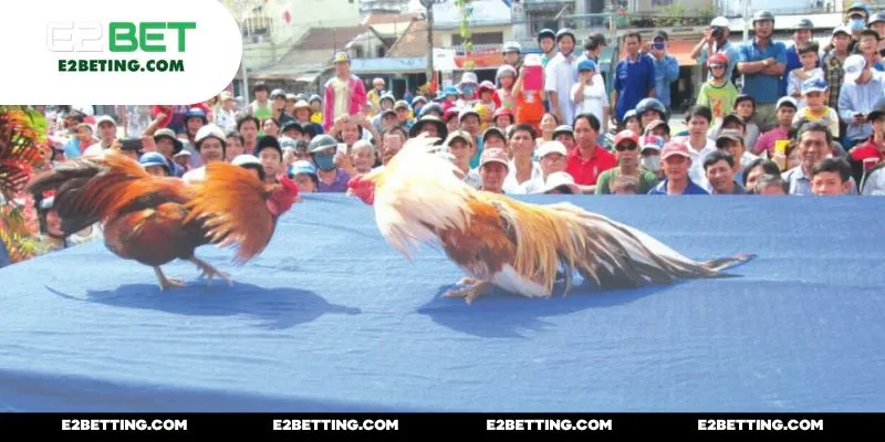 Quy tụ đa dạng kiểu cược giải trí nhất hiện nay