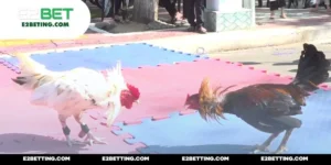 Đá gà đòn C1 E2BET