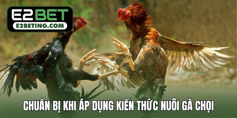 Cần chuẩn bị trước khi áp dụng kiến thức nuôi gà chọi